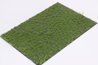 マルティン・ウエルベルク[WB-P202]草地 夏 全高2mm