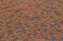 画像2: マルティン・ウエルベルク[WB-P205]草地 秋 全高2mm
