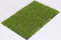 マルティン・ウエルベルク[WB-P601]草地 春 全高6mm