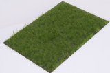 マルティン・ウエルベルク[WB-P602]草地 夏 全高6mm