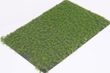 マルティン・ウエルベルク[WB-PW202]草地(パウダー付き) 夏 全高2mm