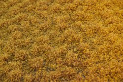 画像3: マルティン・ウエルベルク[WB-PW205]草地(パウダー付き) 秋 全高2mm