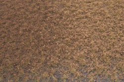 画像2: マルティン・ウエルベルク[WB-PW206]草地(パウダー付き) 冬 全高2mm