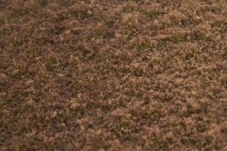 画像3: マルティン・ウエルベルク[WB-PW206]草地(パウダー付き) 冬 全高2mm