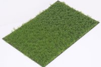 マルティン・ウエルベルク[WB-PW602]草地(パウダー付き) 夏 全高6mm