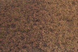 画像2: マルティン・ウエルベルク[WB-PW606]草地(パウダー付き) 冬 全高6mm