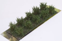 画像2: マルティン・ウエルベルク[WB-SADG]茂みA 株タイプ 全高20mmダークグリーン 10株