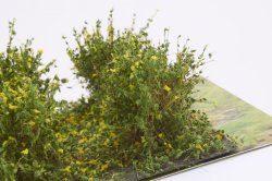画像4: マルティン・ウエルベルク[WB-SAG]茂みA 株タイプ 全高20mm イエロー 10株