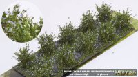 マルティン・ウエルベルク[WB-SAL]茂みA 株タイプ 全高20mm ラベンダー 10株