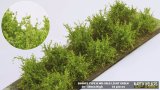 マルティン・ウエルベルク[WB-SALG]茂みA 株タイプ 全高20mm ライトグリーン 10株