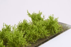 画像3: マルティン・ウエルベルク[WB-SALG]茂みA 株タイプ 全高20mm ライトグリーン 10株