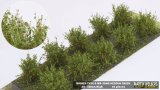 マルティン・ウエルベルク[WB-SAMG]茂みA 株タイプ 全高20mm ミディアムグリーン 10株