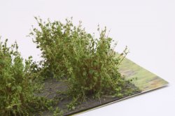 画像4: マルティン・ウエルベルク[WB-SAMG]茂みA 株タイプ 全高20mm ミディアムグリーン 10株