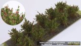 マルティン・ウエルベルク[WB-SAR]茂みA 株タイプ 全高20mm  レッド 10株