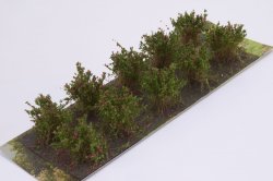 画像2: マルティン・ウエルベルク[WB-SAR]茂みA 株タイプ 全高20mm  レッド 10株