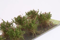 画像3: マルティン・ウエルベルク[WB-SAR]茂みA 株タイプ 全高20mm  レッド 10株