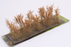 画像2: マルティン・ウエルベルク[WB-SBBR]茂みB 株タイプ 全高40mm ブラウン 10株