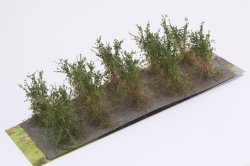画像2: マルティン・ウエルベルク[WB-SBDG]茂みB 株タイプ 全高40mm ダークグリーン 10株