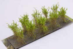 画像2: マルティン・ウエルベルク[WB-SBLG]茂みB 株タイプ 全高40mm ライトグリーン 10株