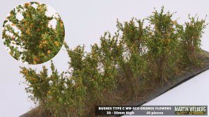 画像1: マルティン・ウエルベルク[WB-SCO]茂みC 株タイプ 全高40mm オレンジ 10株 (1)