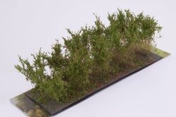 画像2: マルティン・ウエルベルク[WB-SCR]茂みC 株タイプ 全高40mm レッド 10株