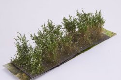 画像2: マルティン・ウエルベルク[WB-SCW]茂みC 株タイプ 全高40mm ホワイト 10株
