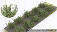 マルティン・ウエルベルク[WB-SDDG]茂みD 株タイプ 全高20mm ダークグリーン 10株