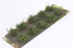 画像2: マルティン・ウエルベルク[WB-SDDG]茂みD 株タイプ 全高20mm ダークグリーン 10株
