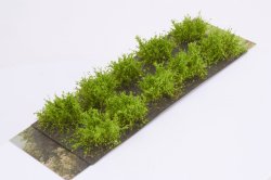 画像2: マルティン・ウエルベルク[WB-SDLG]茂みD 株タイプ 全高20mm ライトグリーン10株