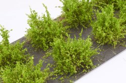 画像3: マルティン・ウエルベルク[WB-SDLG]茂みD 株タイプ 全高20mm ライトグリーン10株