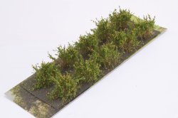画像2: マルティン・ウエルベルク[WB-SDO]茂みD 株タイプ 全高20mm オレンジ 10株