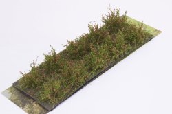 画像2: マルティン・ウエルベルク[WB-SDR]茂みD 株タイプ 全高20mm レッド 10株