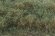 画像3: マルティン・ウエルベルク[WB-SEHG]茂みE 草むらタイプ 全高20mm ヘイジーグリーン　 (3)