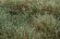 画像4: マルティン・ウエルベルク[WB-SEHG]茂みE 草むらタイプ 全高20mm ヘイジーグリーン　 (4)