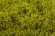 画像3: マルティン・ウエルベルク[WB-SELG]茂みE 草むらタイプ 全高20mm ライトグリーン (3)