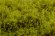 画像4: マルティン・ウエルベルク[WB-SELG]茂みE 草むらタイプ 全高20mm ライトグリーン (4)