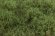 画像3: マルティン・ウエルベルク[WB-SEMG]茂みE 草むらタイプ 全高20mm ミディアムグリーン (3)