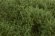画像4: マルティン・ウエルベルク[WB-SEMG]茂みE 草むらタイプ 全高20mm ミディアムグリーン (4)