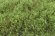 画像3: マルティン・ウエルベルク[WB-SESG]茂みE 草むらタイプ 全高20mm スプリンググリーン (3)