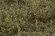画像4: マルティン・ウエルベルク[WB-SFBG]茂みF 草むらタイプ 全高15mm バーンドグリーン (4)