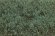画像3: マルティン・ウエルベルク[WB-SFHG]茂みF 草むらタイプ 全高15mm ヘイジーグリーン (3)