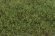 画像3: マルティン・ウエルベルク[WB-SFMG]茂みF 草むらタイプ 全高15mm ミディアムグリーン (3)