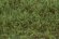 画像4: マルティン・ウエルベルク[WB-SFMG]茂みF 草むらタイプ 全高15mm ミディアムグリーン (4)