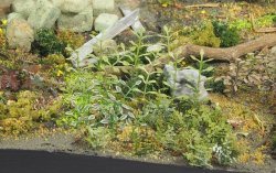 画像1: マソモデル[MH35036]植物/雑草セットB