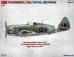 画像3: ミニアート[MA48033]1/48 サンダーボルト Mk.I. イギリス空軍 ベーシックキット (3)