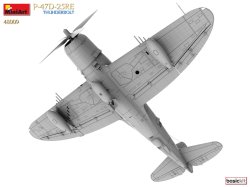 画像9: ミニアート[MA48009]1/48　P-47D-25RE サンダーボルト　ベーシックキット