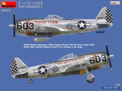 画像3: ミニアート[MA48023]1/48　P-47D-30REサンダーボルト　ベーシックキット