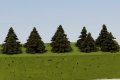 Model Scene[SM015]トウヒの木 高さ15mm(10本入)