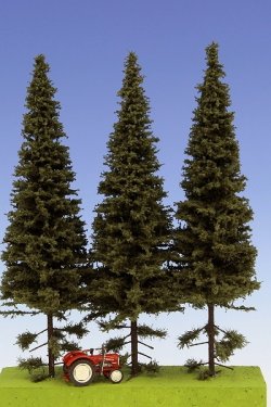 画像1: Model Scene[SK202]低く枝打ちしたトウヒの木 高さ180-220mm(3本入)