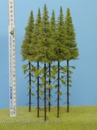 Model Scene[MK250]枝打ちしたカラマツの木 高さ230-270mm(5本入)